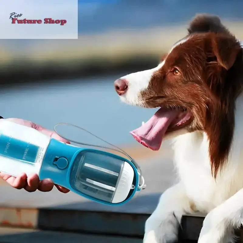 3 in 1 Dog Water Cup Drinking+Food+Garbage Bag - Rios Future Shop