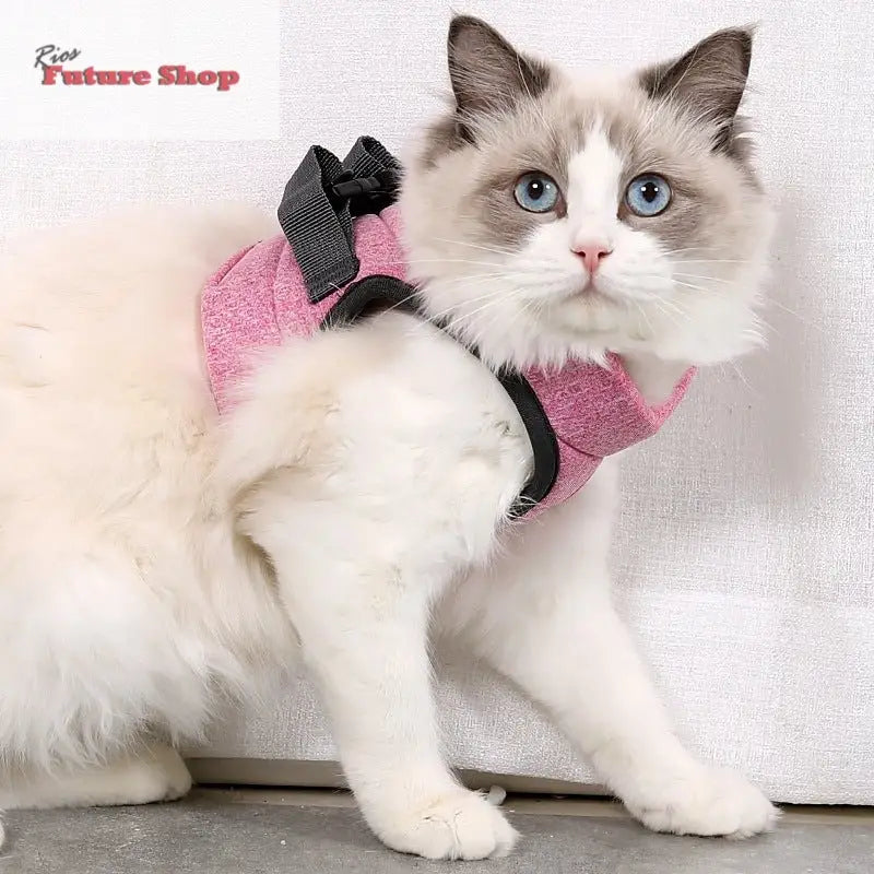 Trela para Gato - Rios Future Shop