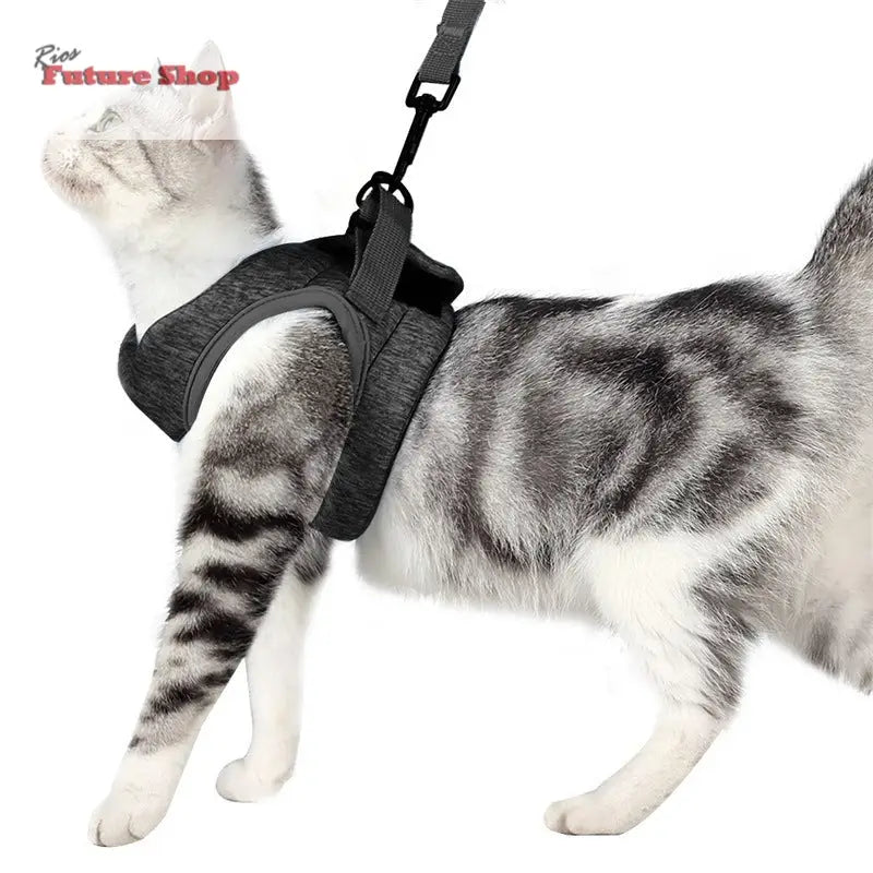 Trela para Gato - Rios Future Shop