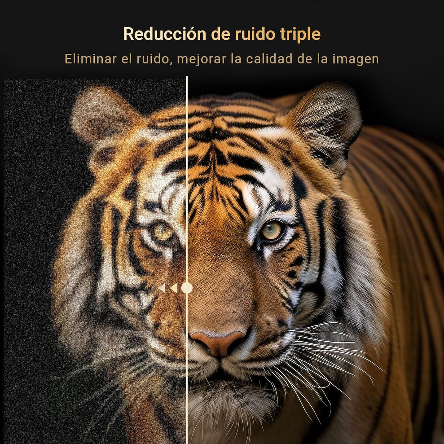 RCA E32 Televisión 32 Pulgadas (81cm) Non Smart LED TV 32" HD,Triple Reducción del Ruido,Modelo de Hotel,Modelo 2024