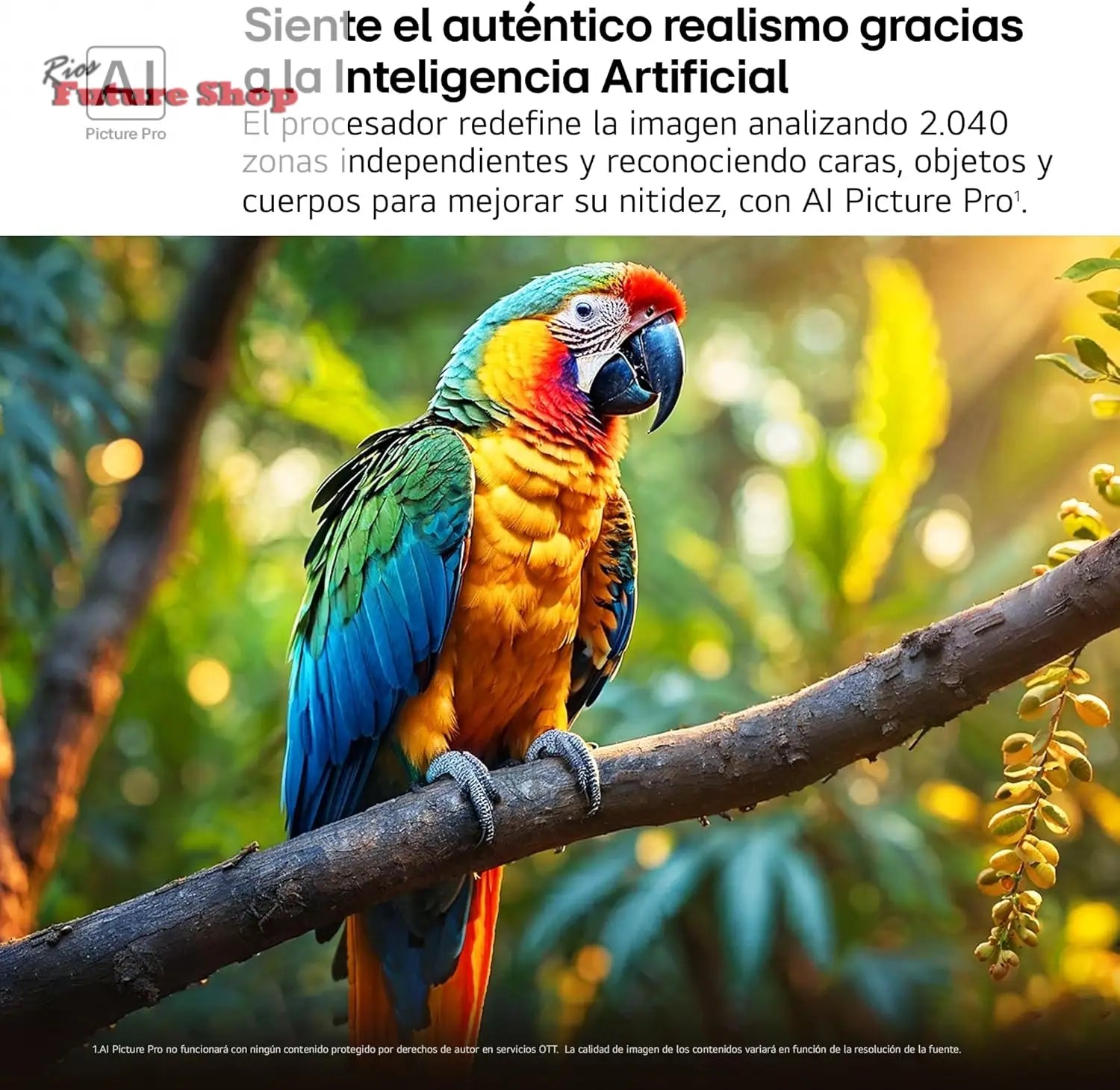 LG 55QNED84A6C Televisão de 55", 4K QNED EVO, Smart TV, WebOS 25, processador potente e inteligente, Super Upscaling, Dolby Dilgital Plus, Alexa/Google Assistant, preto - Rios Future Shop