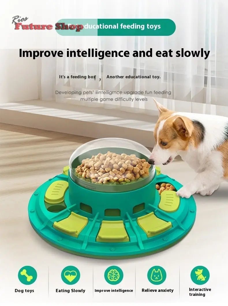 brinquedo-de-puzzle-para-caes-9963613 - Rios Future Shop