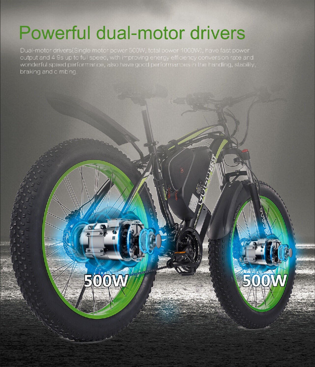 Electric Bicycle E - bike Dual - motor - Rios Future Shop