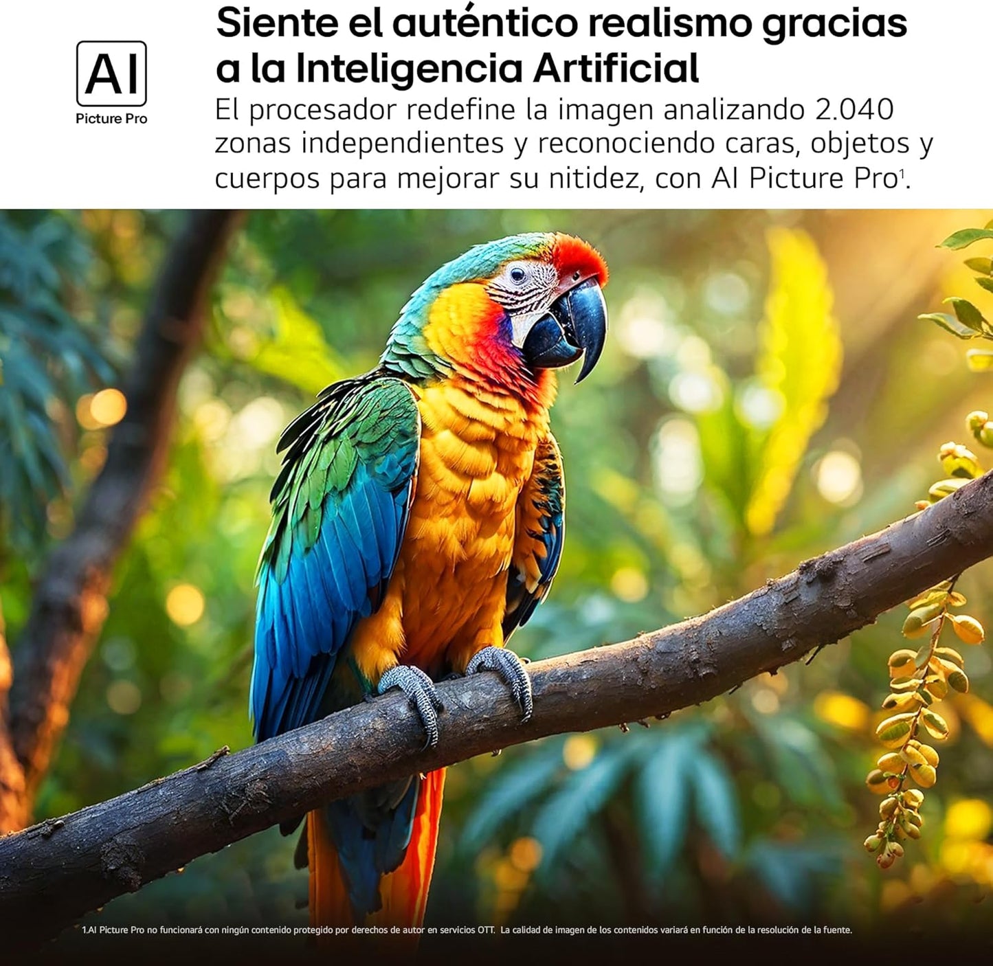 LG 55QNED84A6C Televisão de 55", 4K QNED EVO, Smart TV, WebOS 25, processador potente e inteligente, Super Upscaling, Dolby Dilgital Plus, Alexa/Google Assistant, preto