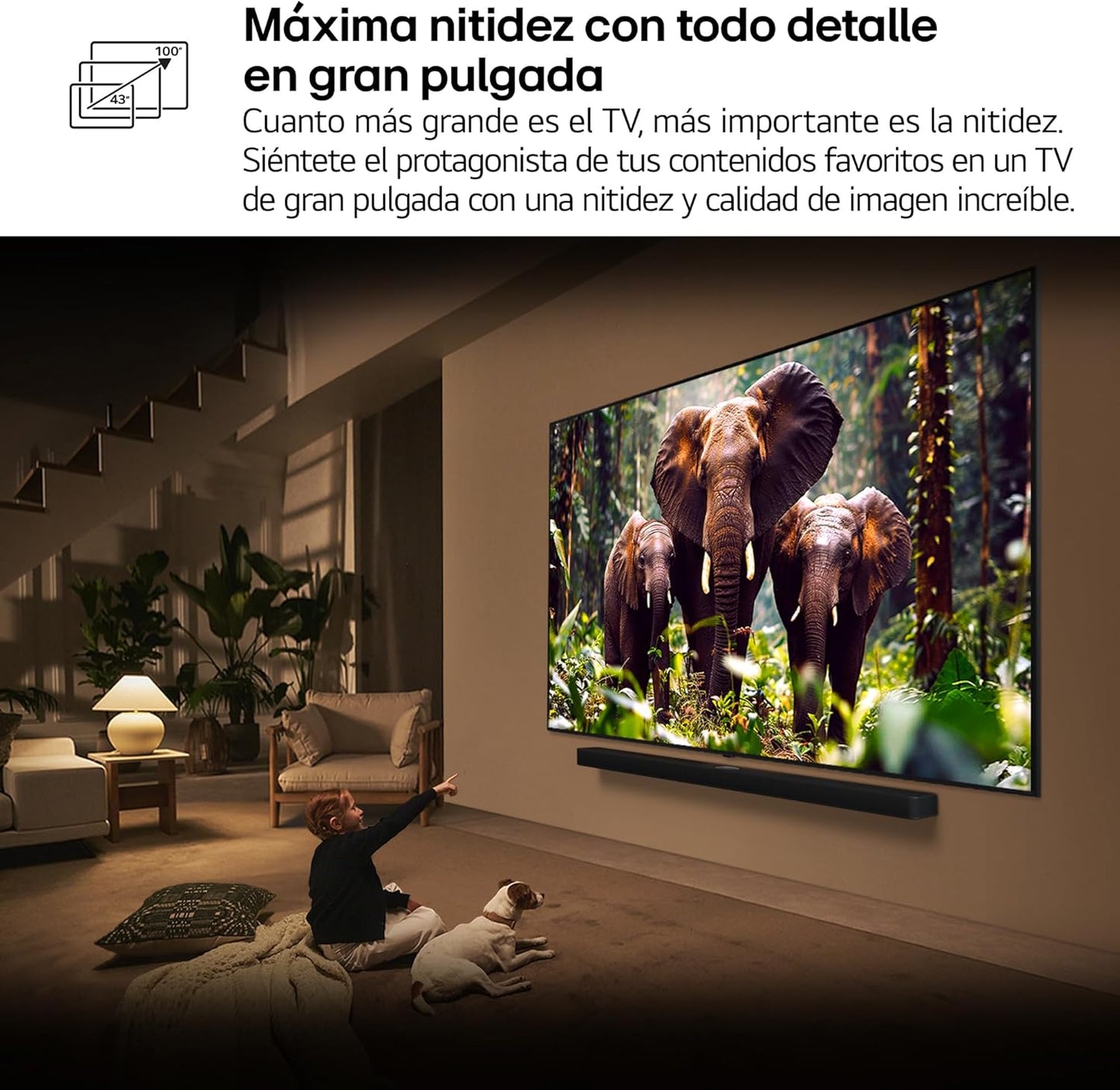 LG 55QNED84A6C Televisão de 55", 4K QNED EVO, Smart TV, WebOS 25, processador potente e inteligente, Super Upscaling, Dolby Dilgital Plus, Alexa/Google Assistant, preto