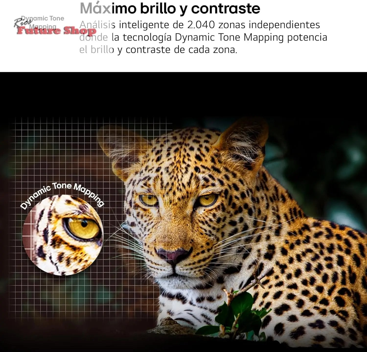 LG 75NANO80A6B Televisão de 75", 4K, NanoCell, Smart TV, LED IA, WebOS 25, processador potente e inteligente, Super Upscaling, Dolby Digital Plus, Alexa/Google Assistant, preto