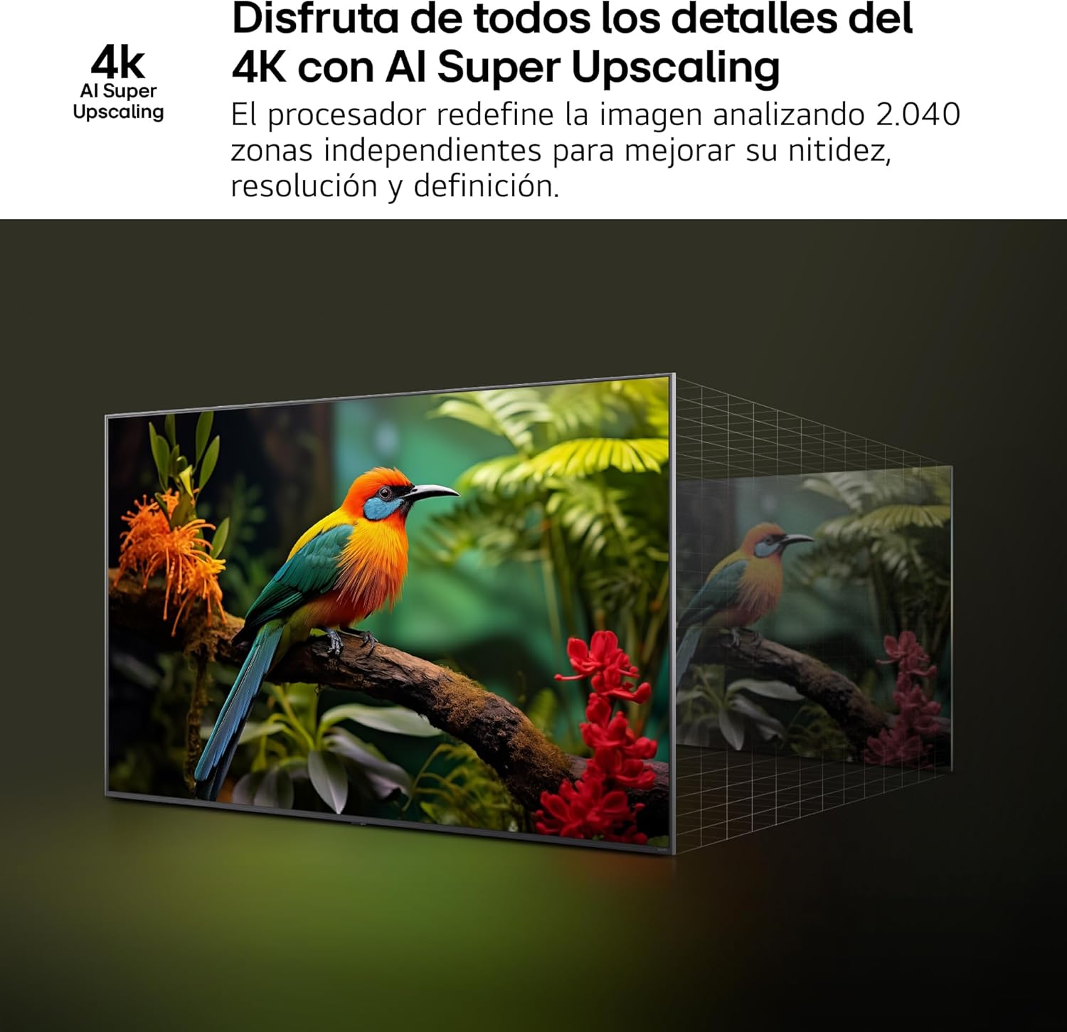LG 55UA73006LA - TV 55", UHD 4K, WebOS 25, Ultimate IA, HDR10 Pro, Super Upscaling, Dolby Digital Plus, Google Assistant, Black