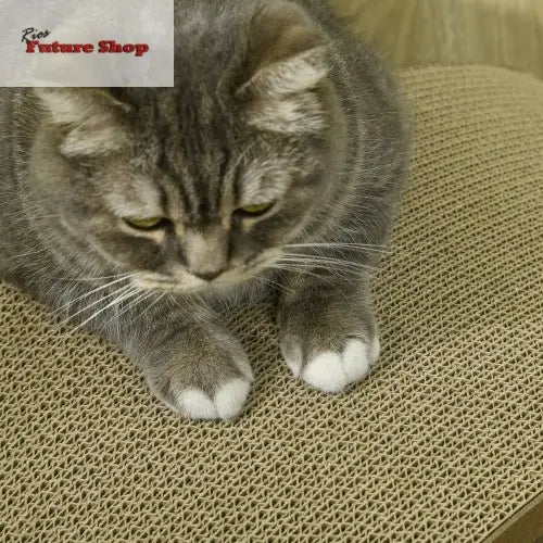 PawHut Cat Scratching Board, 4 Pack Cat Scratcher For Indoor Cats, Reversible Cat Scratch(USA)ing Post Replacement For Cat Wheel, Brown - Rios Future Shop