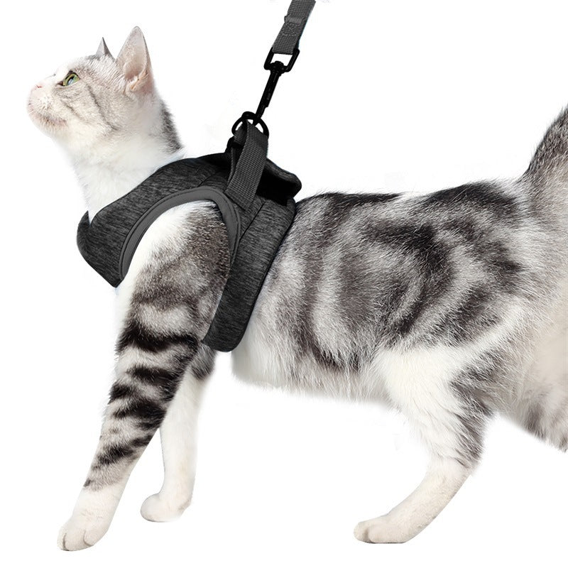 Trela para Gato - Rios Future Shop