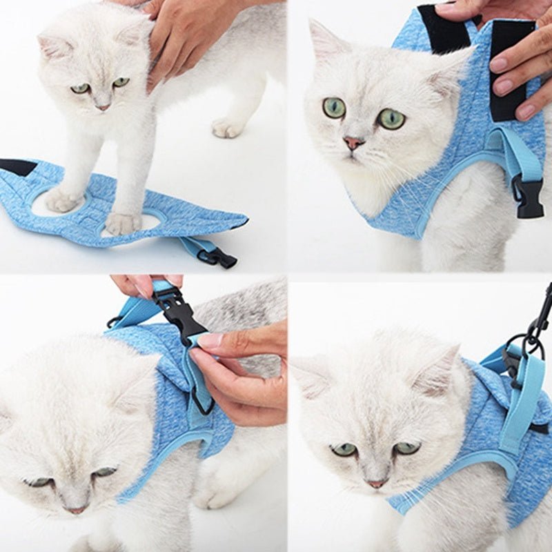 Trela para Gato - Rios Future Shop