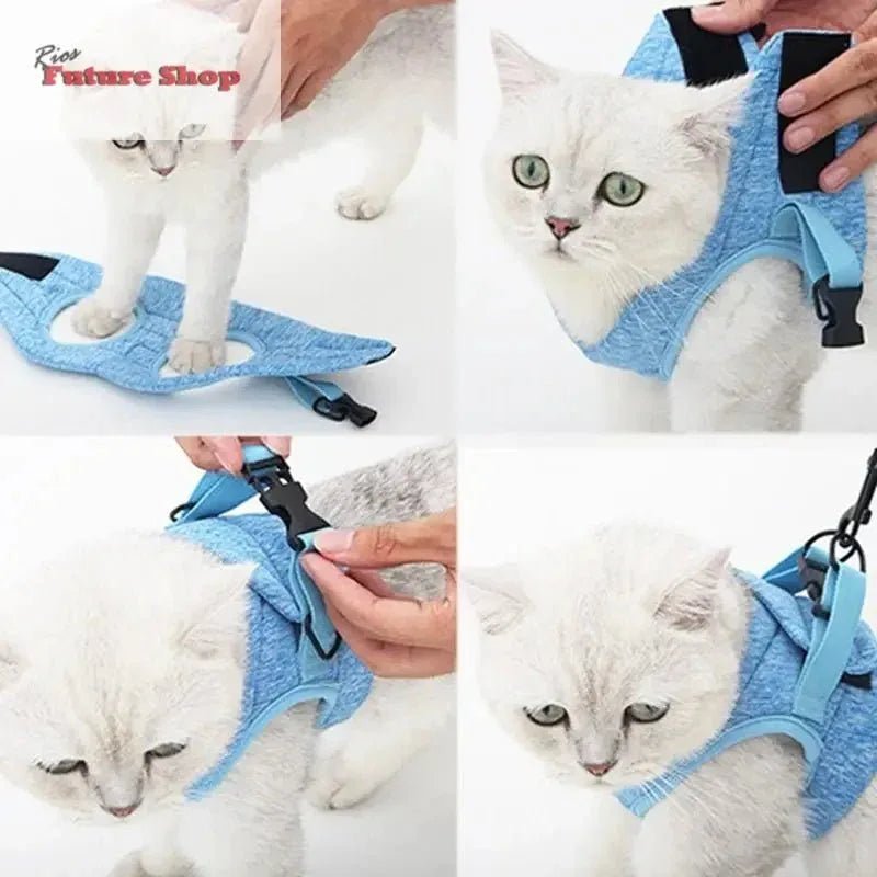 Trela para Gato - Rios Future Shop